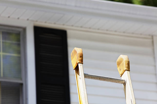 Best Insulated Siding Installation  in Magnolia, TX